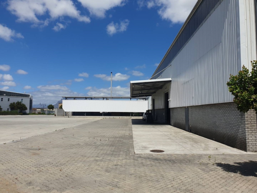 To Let commercial Property for Rent in Montague Gardens Western Cape